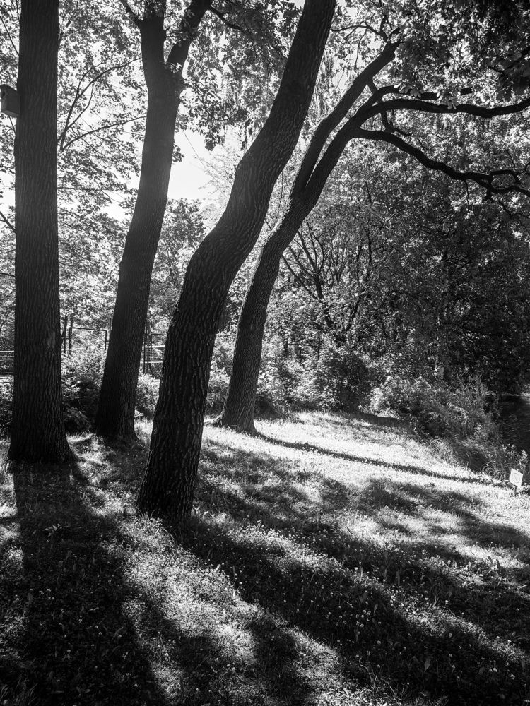 Photograph by Chic.chiquitita