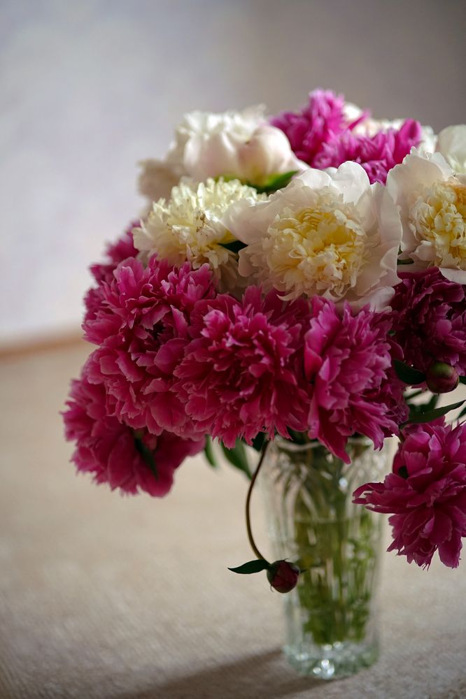 Photograph by Анна Воронова