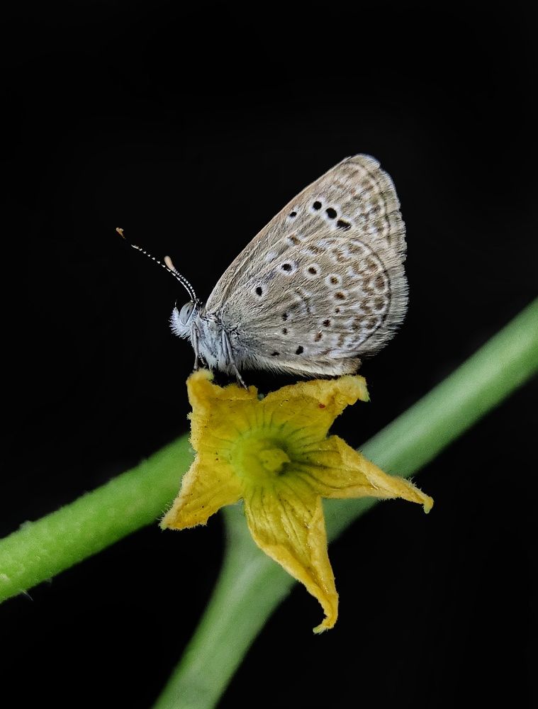 Photograph by Satishkumar Prakash