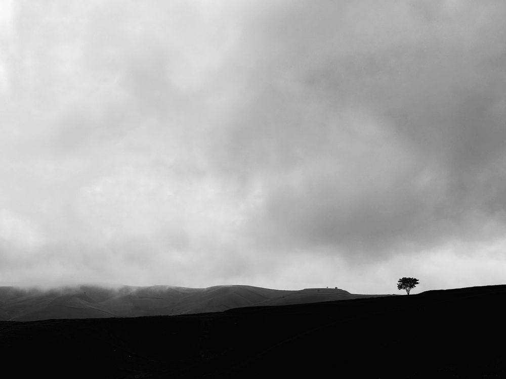 Photograph by Babak Moghaddam