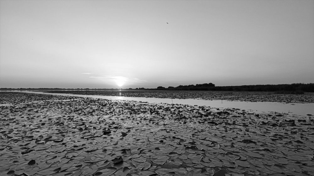 Photograph by Canache Gheorghe