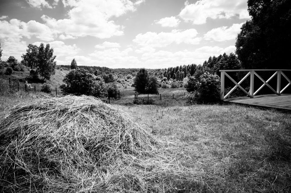 Photograph by Роман Логанов