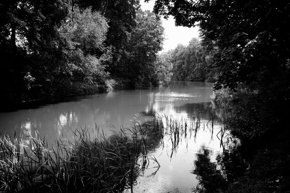 Photograph by Роман Логанов