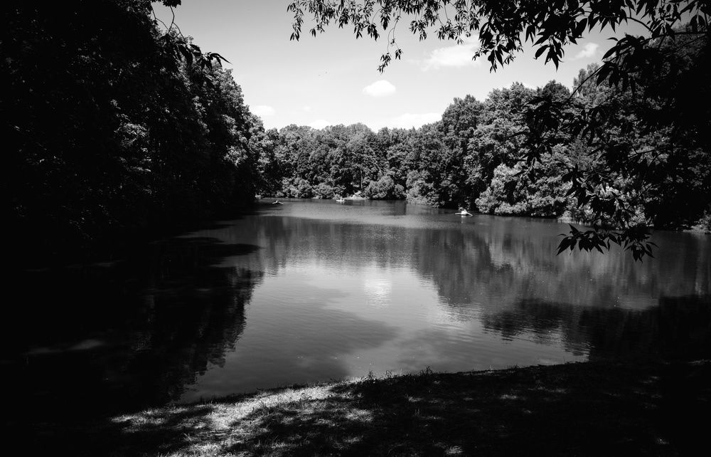 Photograph by Роман Логанов