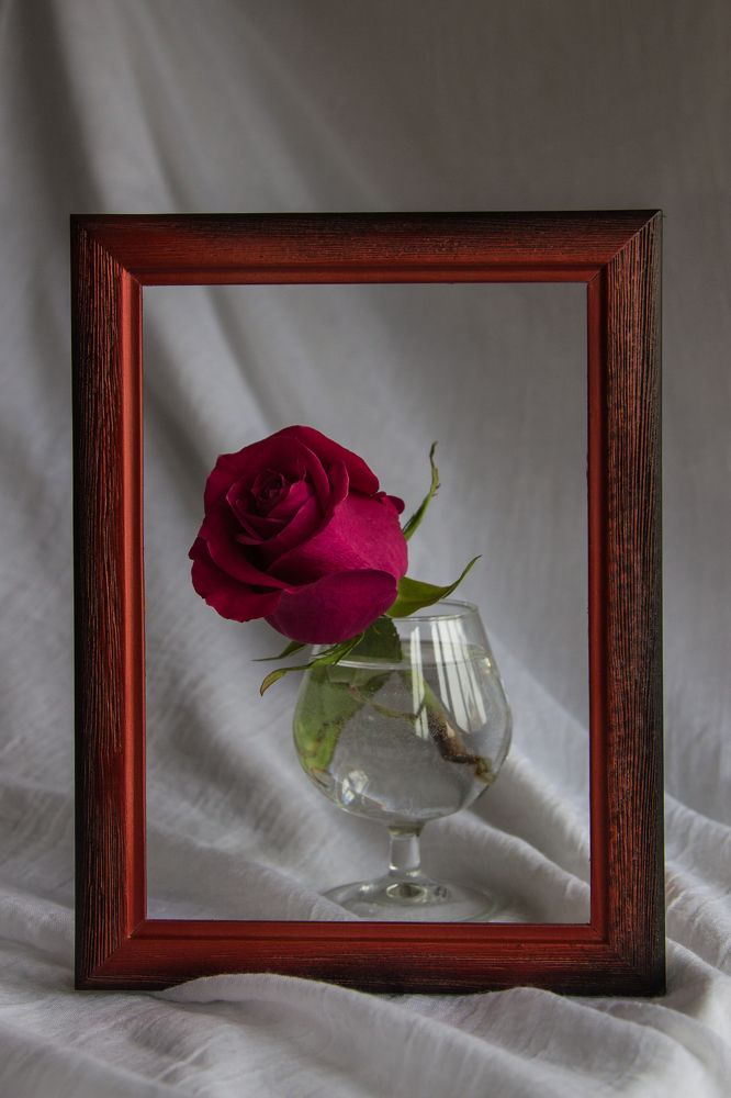 Фотография автора Эльвира Викторовна