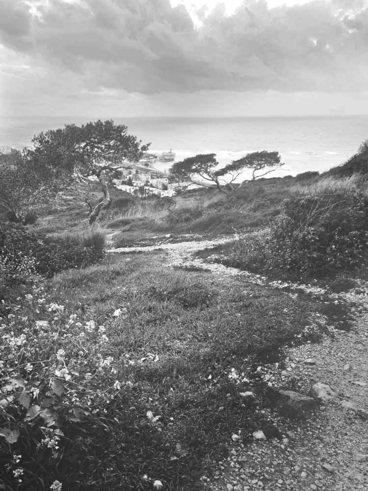 Фотография автора Ольга Забрянская