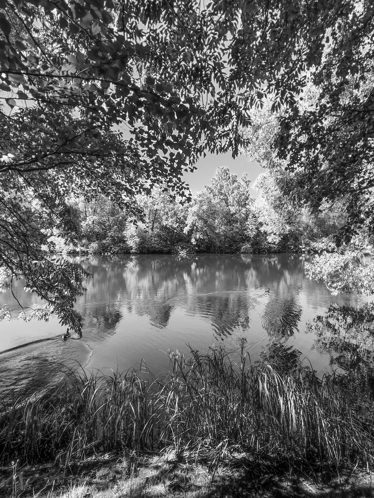 Photograph by Chic.chiquitita