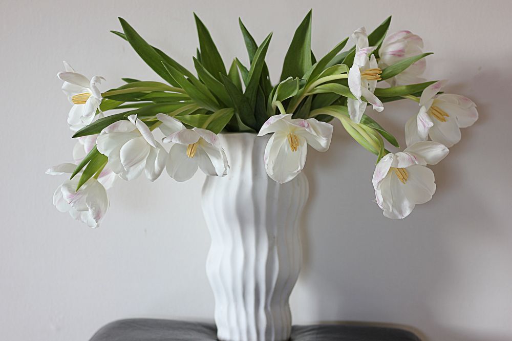 Photograph by Lena Feldman