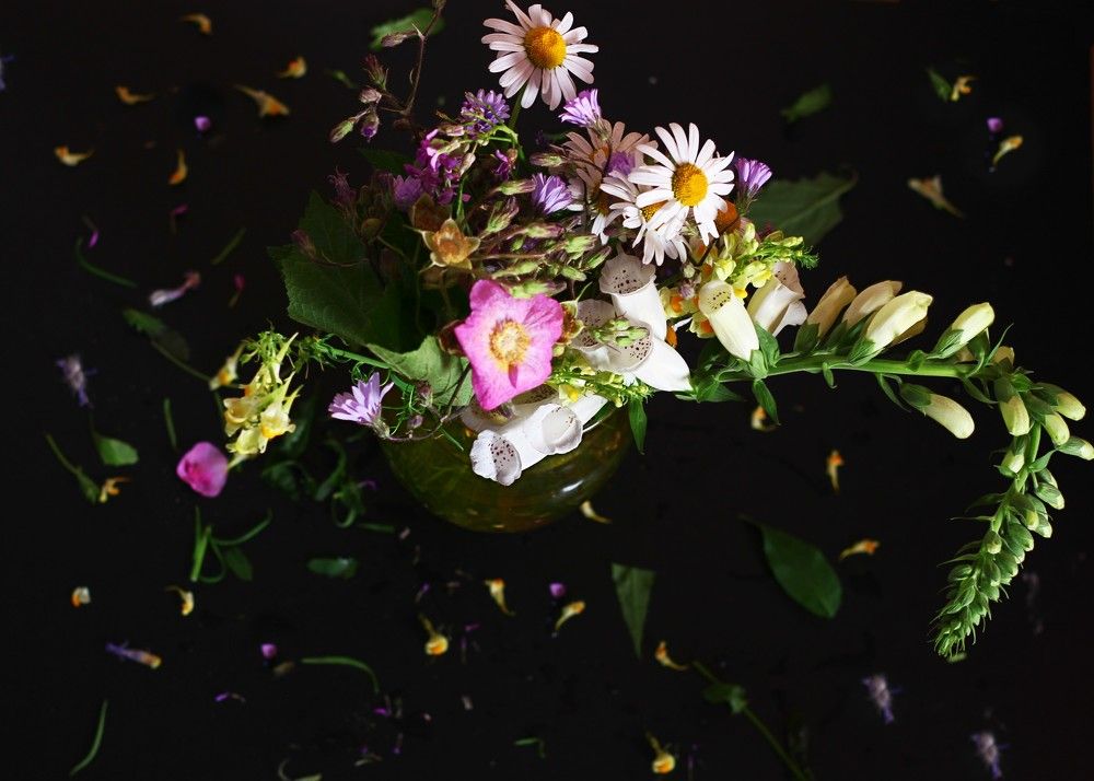 Photograph by Lena Feldman