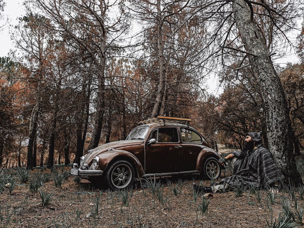 Photograph by reguiegue aymane