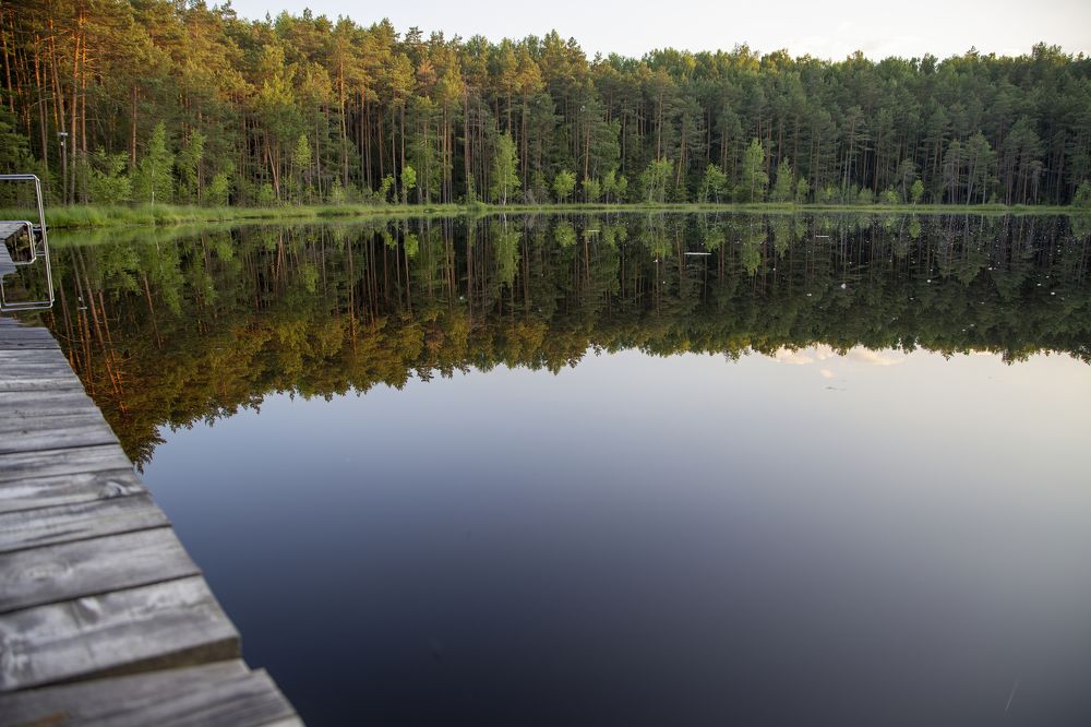 Photograph by Почечуй Андрей