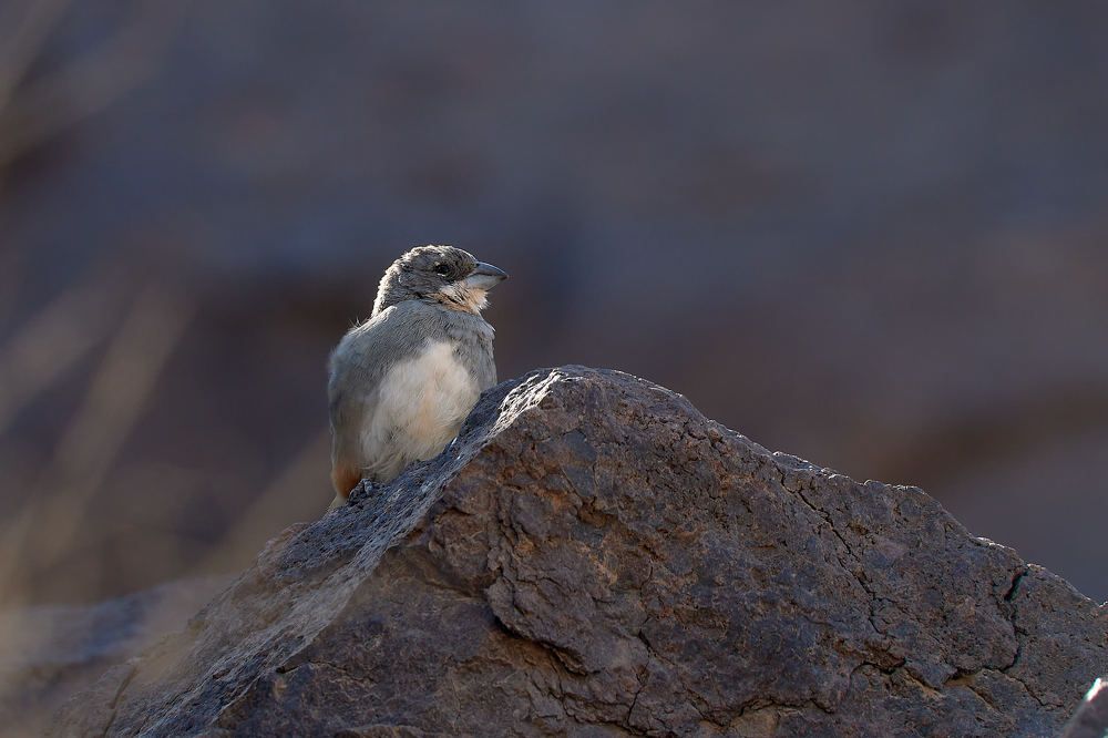 Photograph by Ivan Cortes