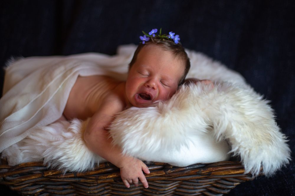 Photograph by Дарья Акулина