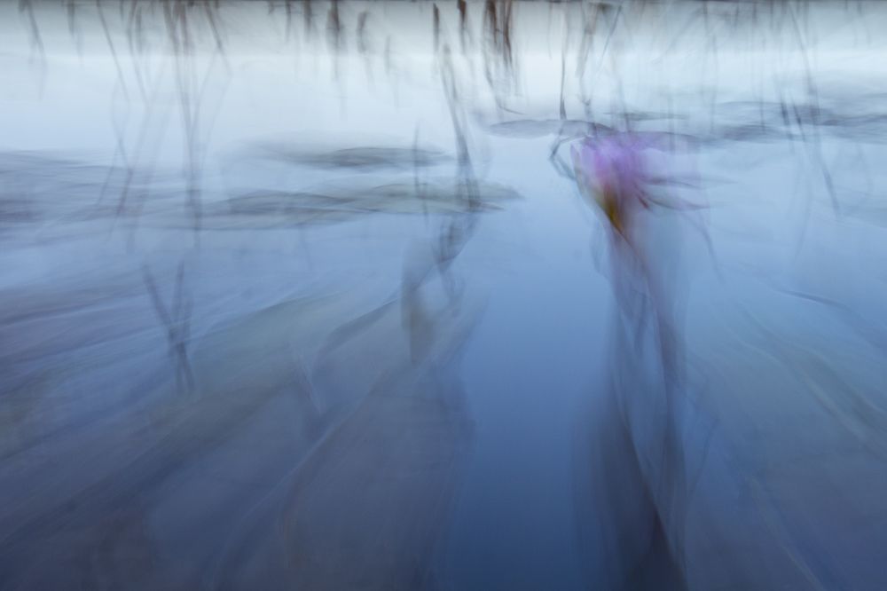 Photograph by Меира Исензон