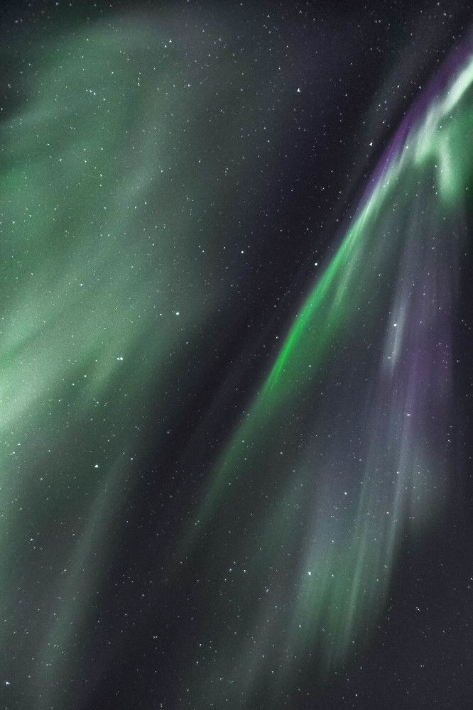 Крылатая Медведица