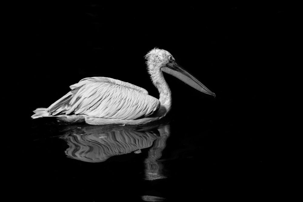 Photograph by Руслан Орлов