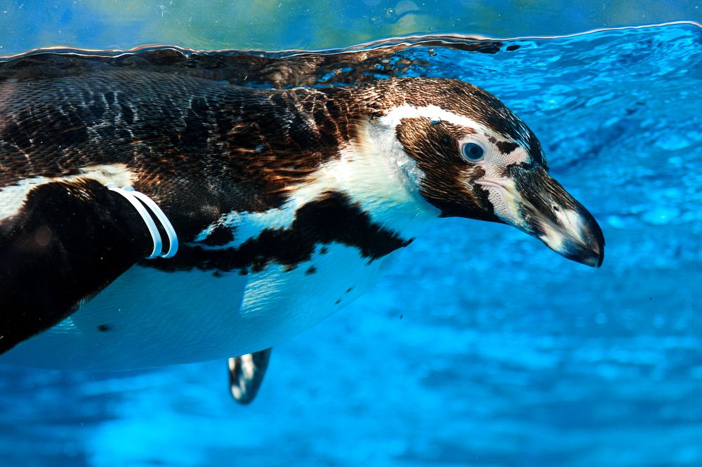 Photograph by Andrea Tijanic