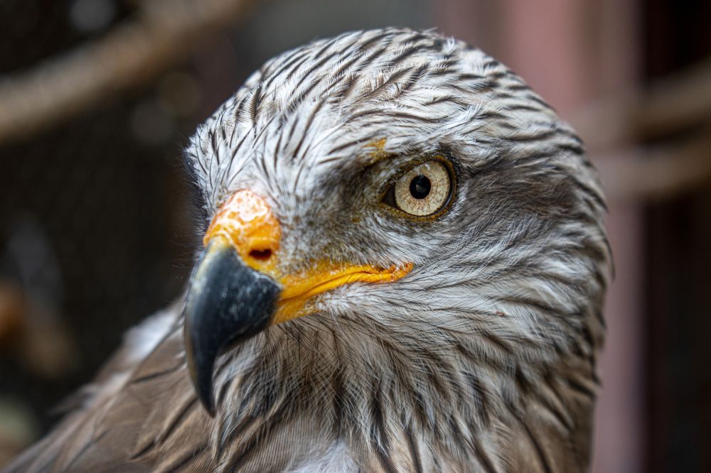 Photograph by Andrea Tijanic