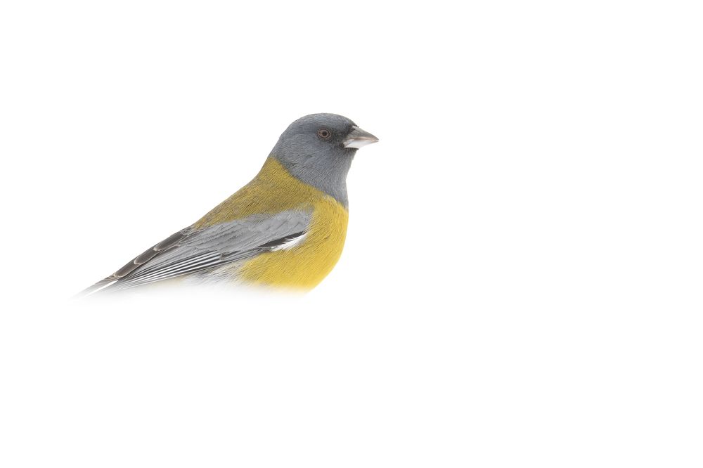 Photograph by Gonzalez Paul Andres