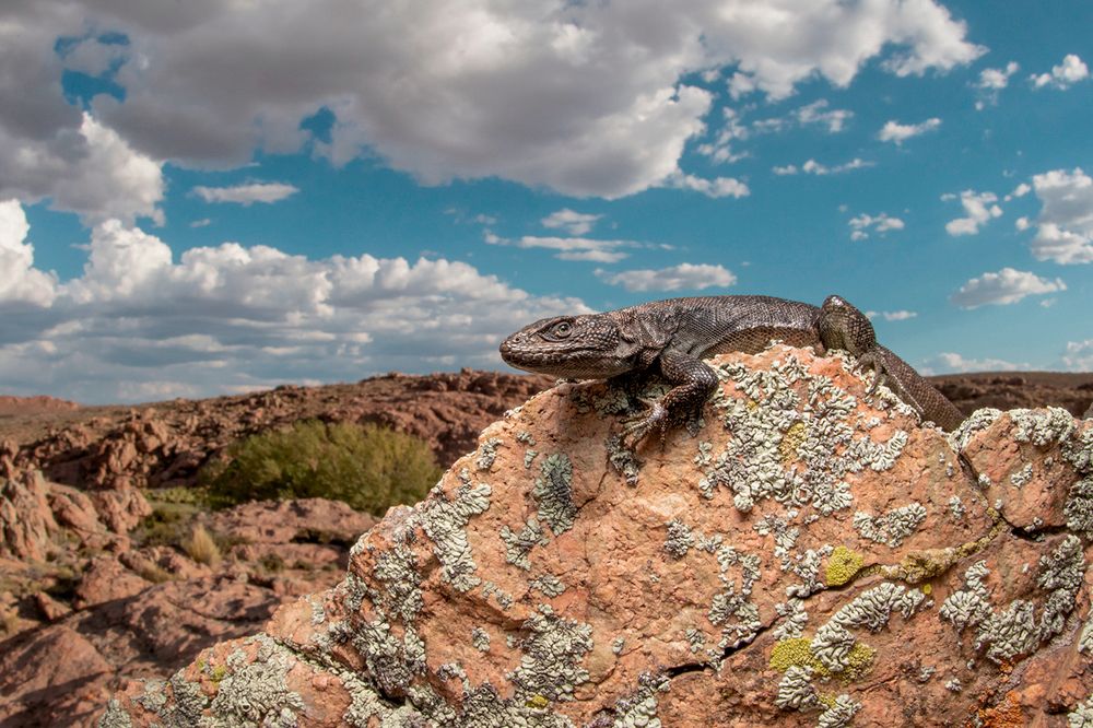 Photograph by Gonzalez Paul Andres