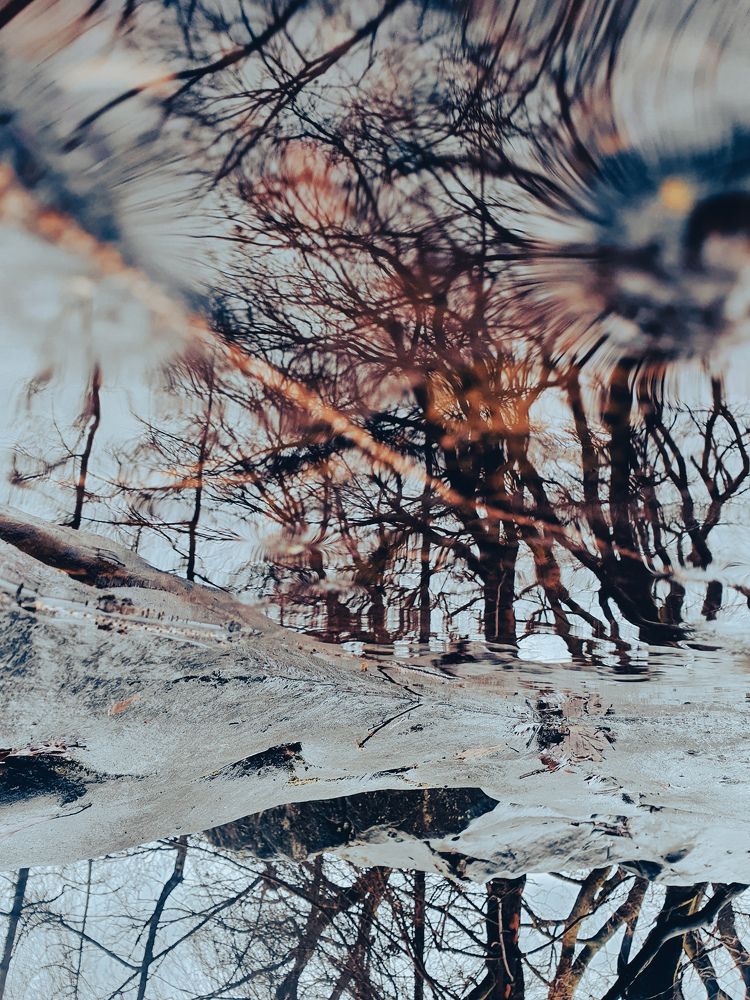 Photograph by Jana Smirnova