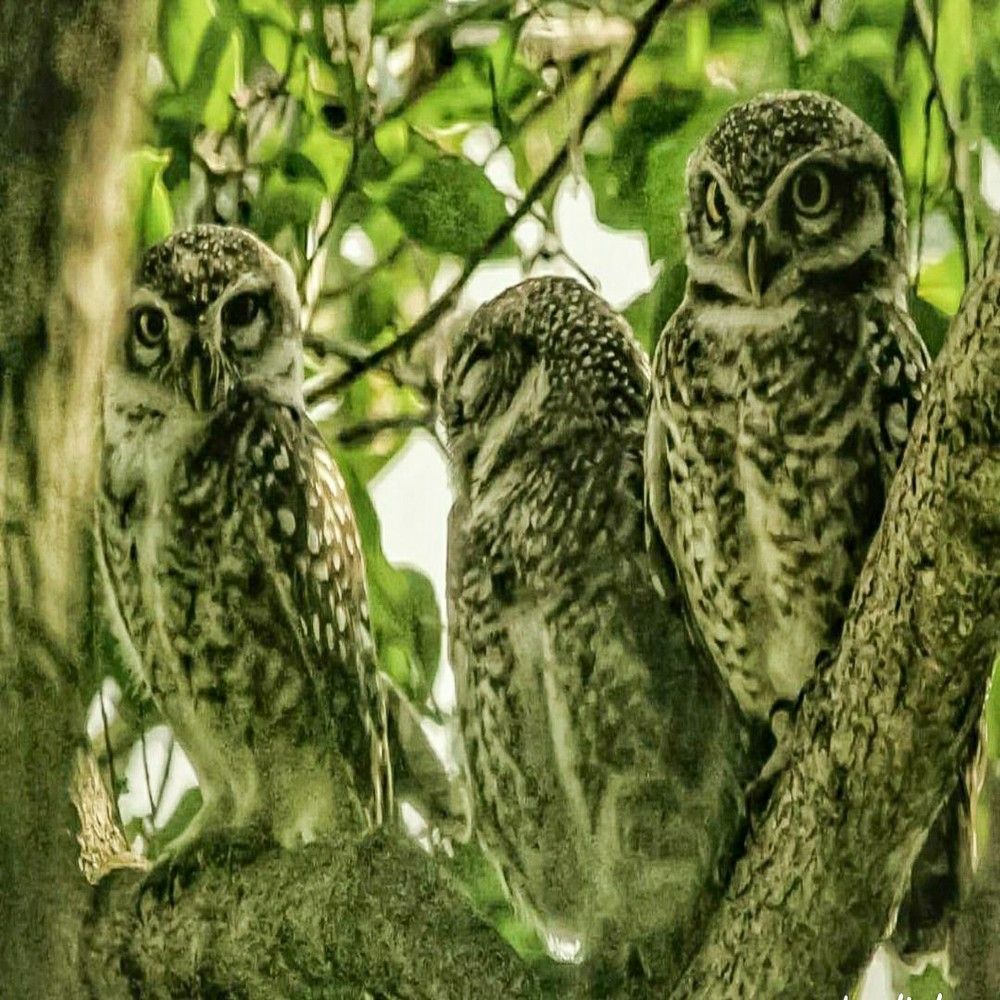 Photograph by Samyuktha Narayanan