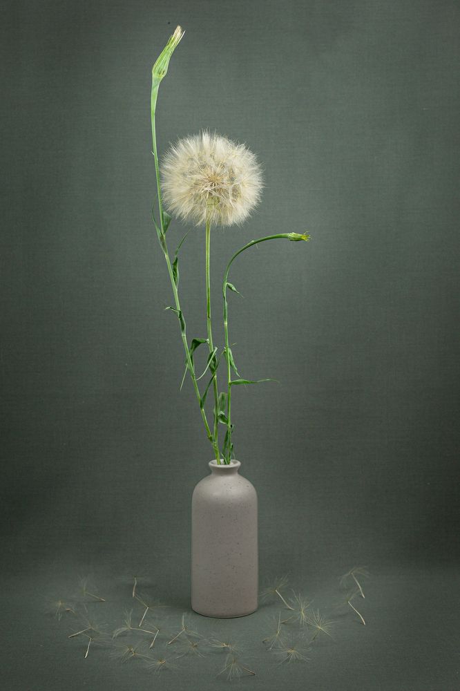 Photograph by Марина Бердяева