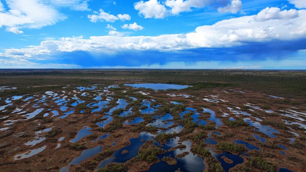 Photograph by Aleksei Belozjorov