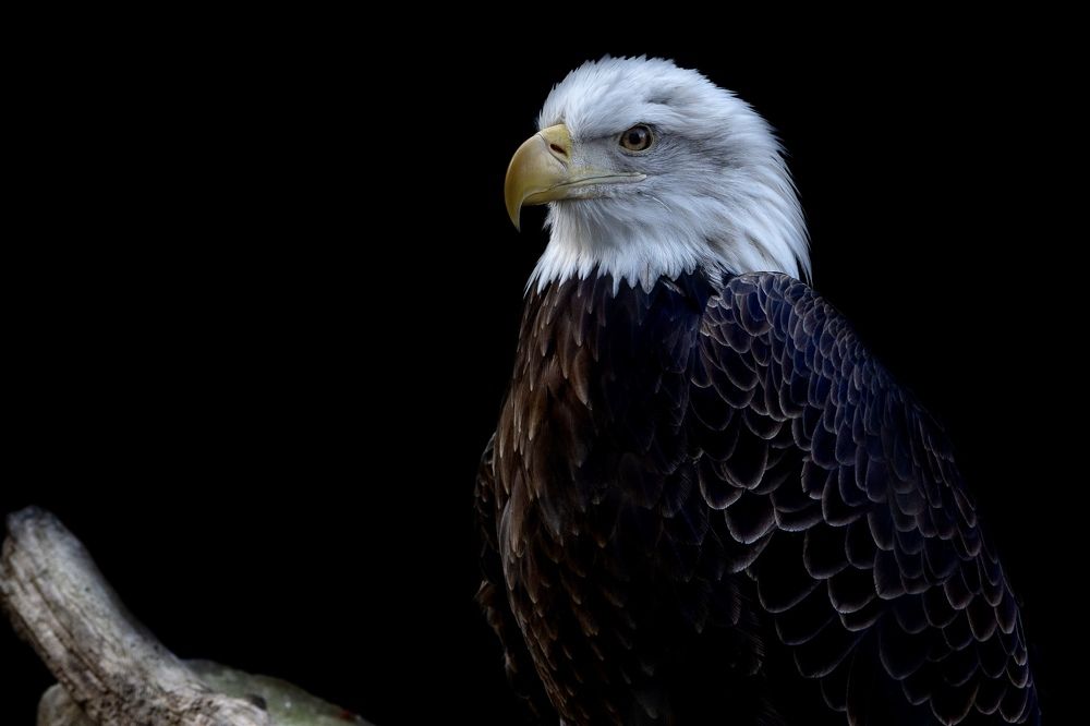 Фотография автора Viktoria