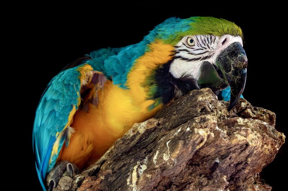 Фотография автора Viktoria