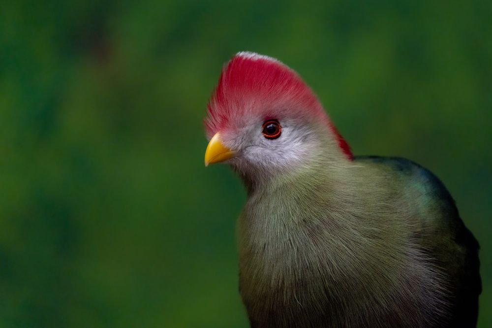 Фотография автора Viktoria