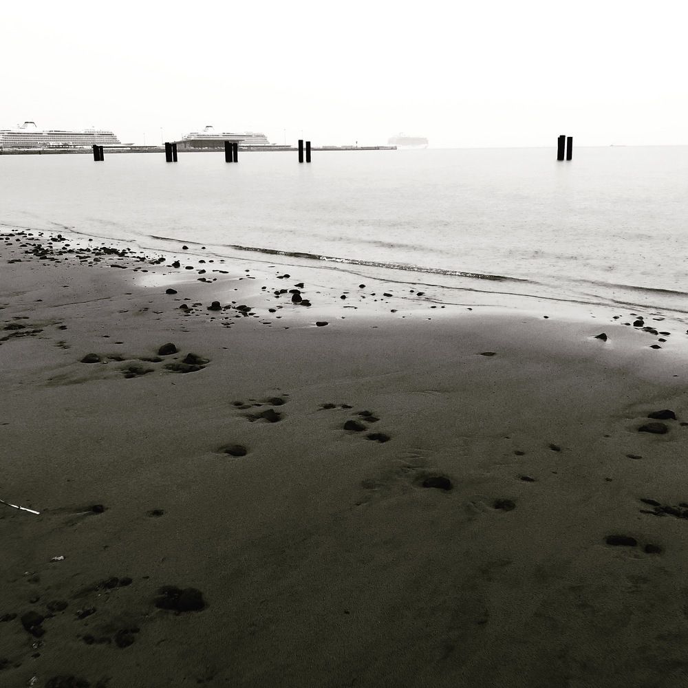 Photograph by Ali Boyko