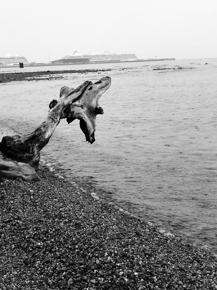 Photograph by Ali Boyko