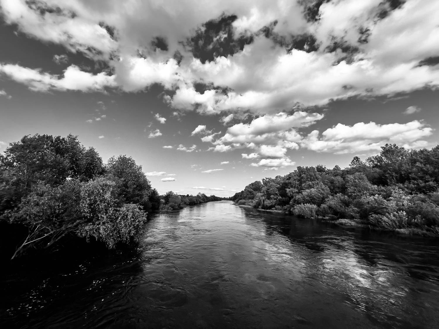 Photo #7742833