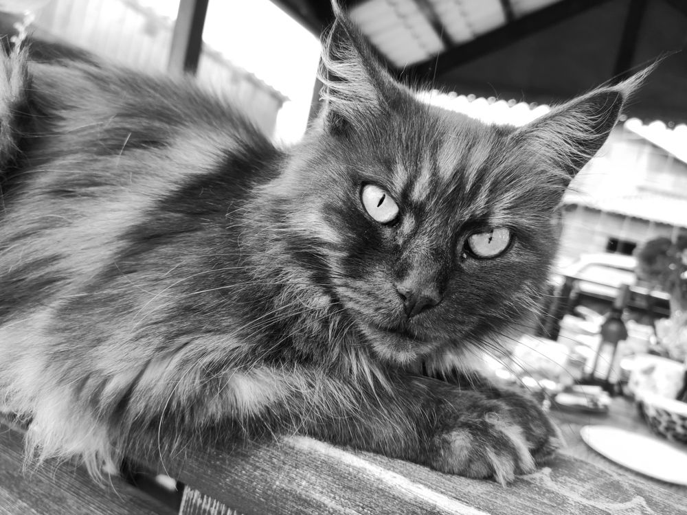 Photograph by Татьяна Панченко