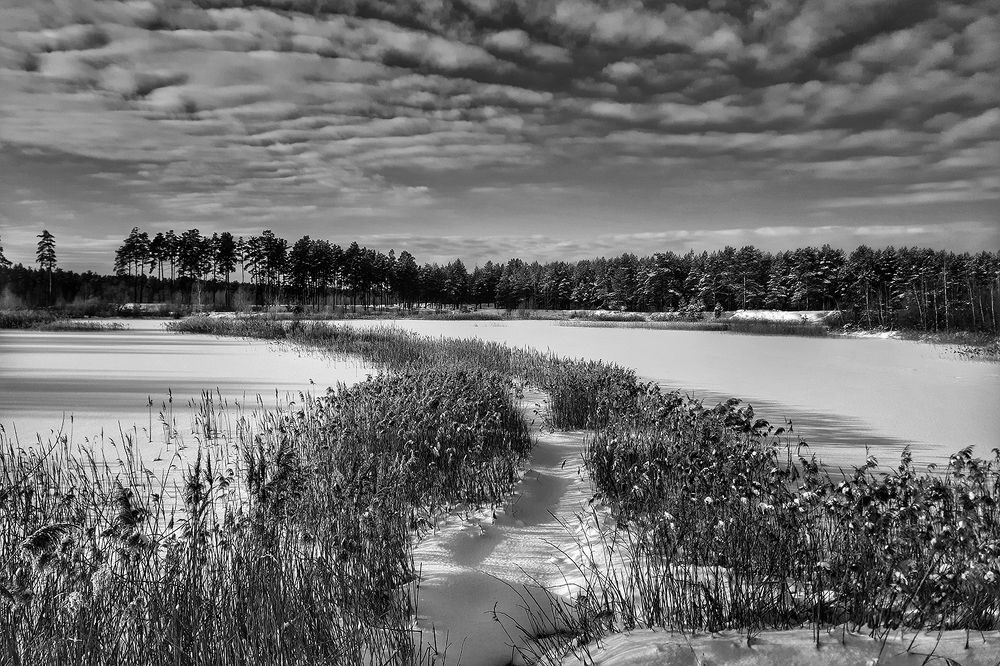 Photograph by Михаил Рассказ