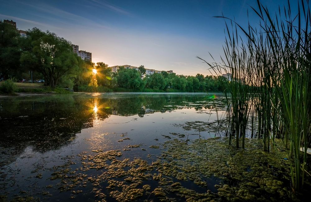 Фотография автора Юрий Яковлевич