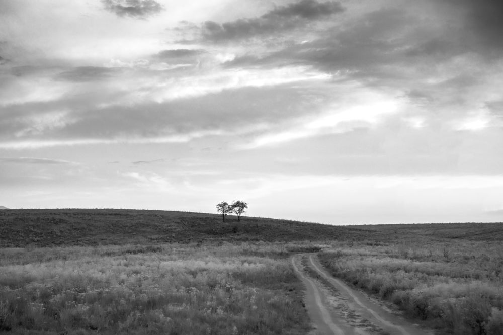 Photograph by Ажар Шайдилдинова