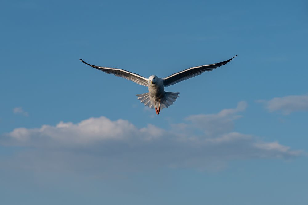 Photograph by Константин Костин