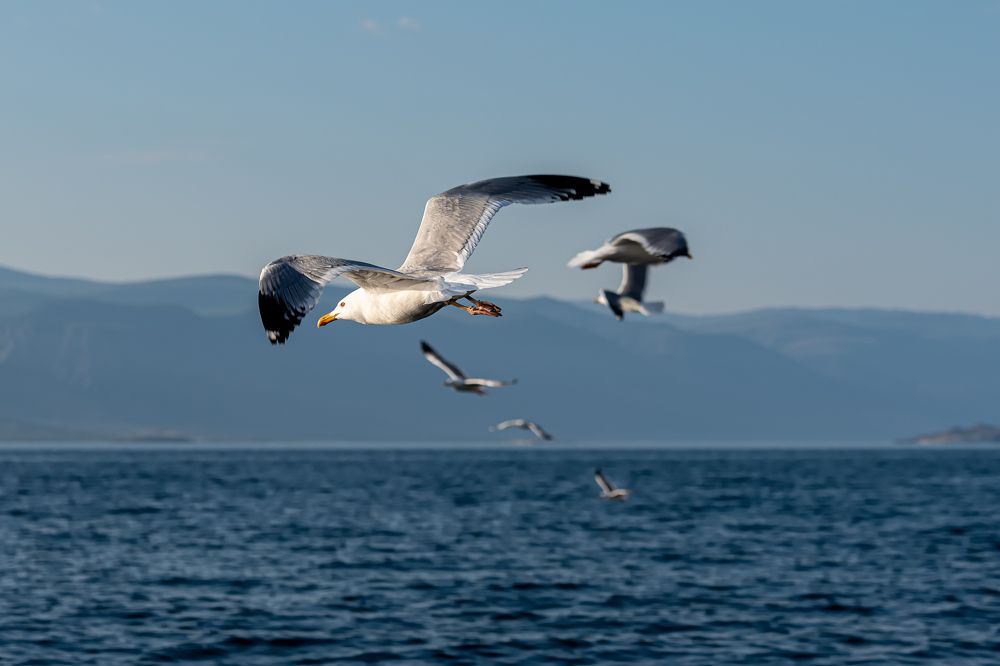 Photograph by Константин Костин