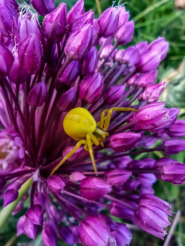 Photograph by Ирина Дегтярева