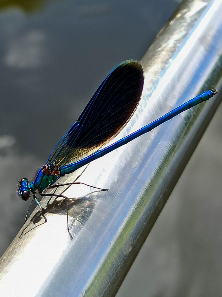 Photograph by Ирина Дегтярева