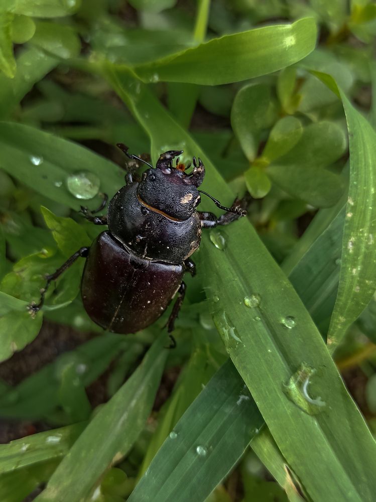 Photograph by Ирина Дегтярева