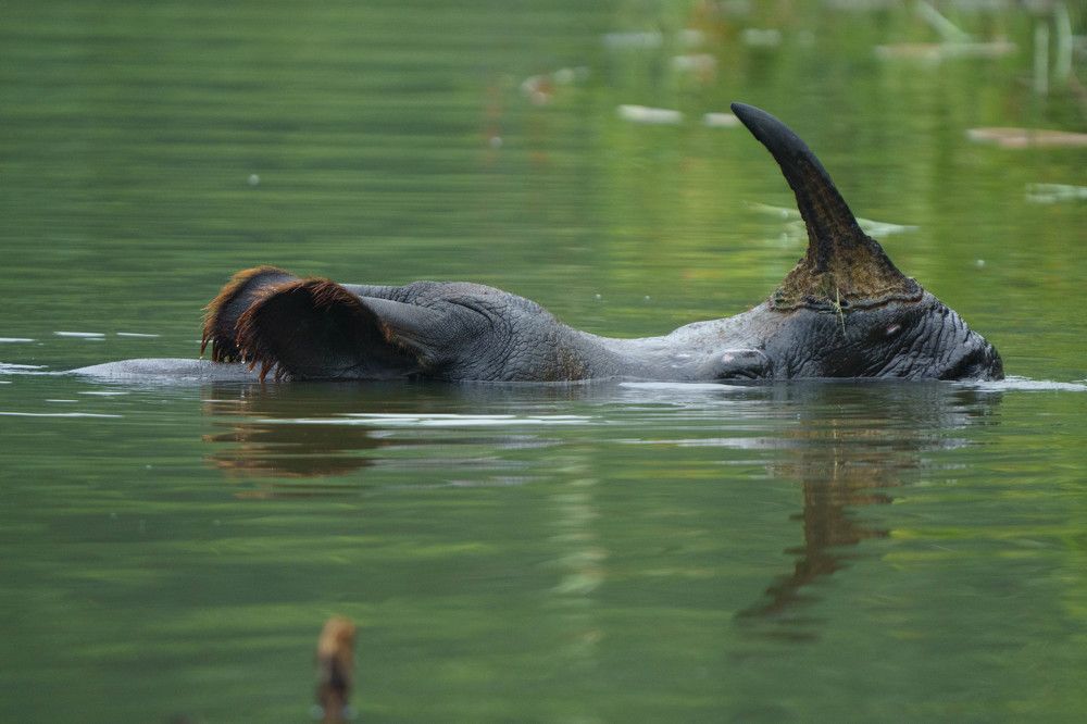 Photograph by kiranraj thapa