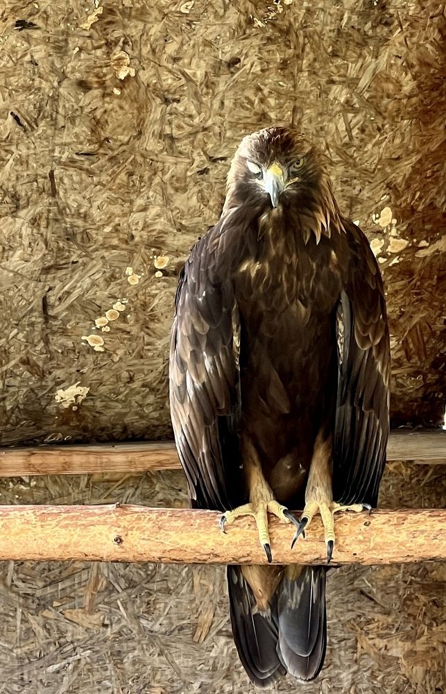 Photograph by Елена Мизина