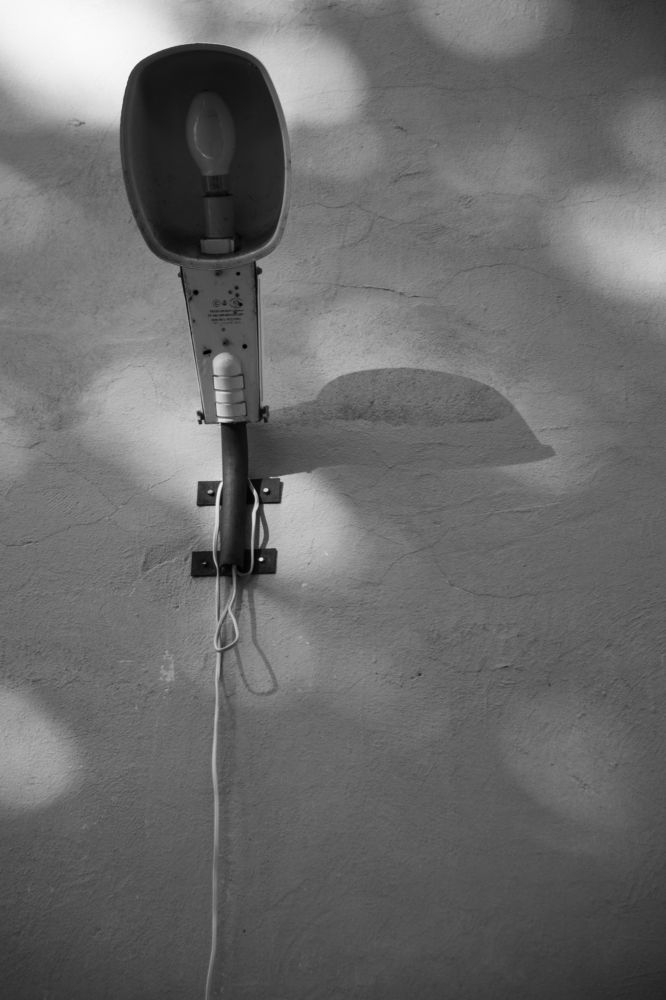 Photograph by Nadezhda Bakina