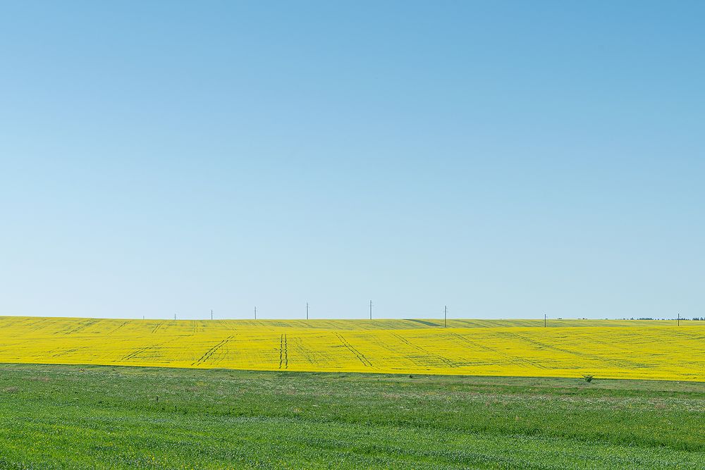 Photograph by Yuri Vatulin