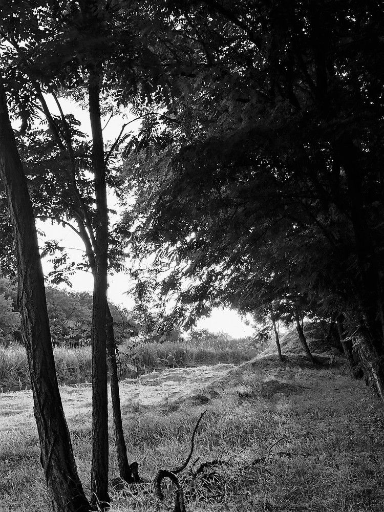 Photograph by Татьяна Долгушева