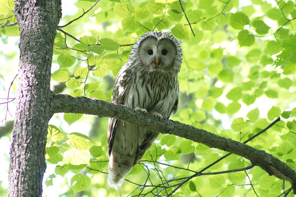 Photograph by Вера Почкалина