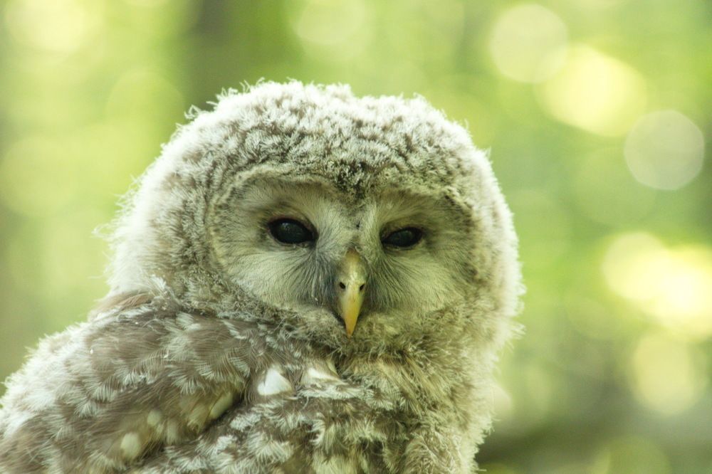 Photograph by Вера Почкалина